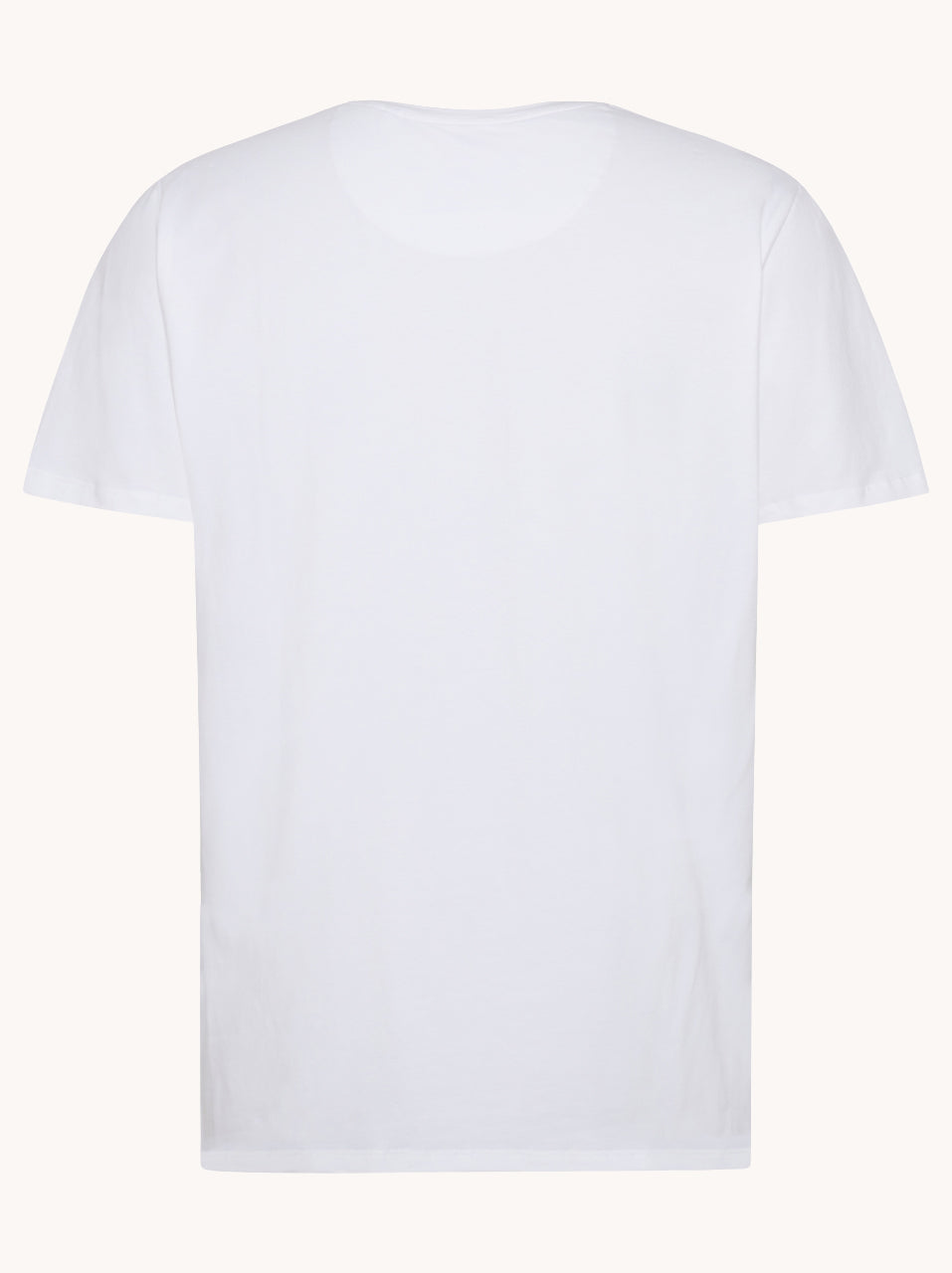 A Fish Named fred wit tshirt